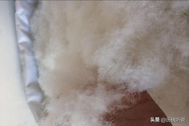 鸭才25元！哪来的利润？能放心吃吗？冰球突破豪华版活鸭上百元一只做成烤(图11)